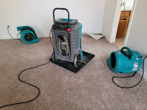 Best Mold removal after water damage  in Rio Pinar, FL