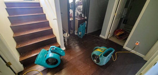 Best Water damage restoration near me  in Rio Pinar, FL