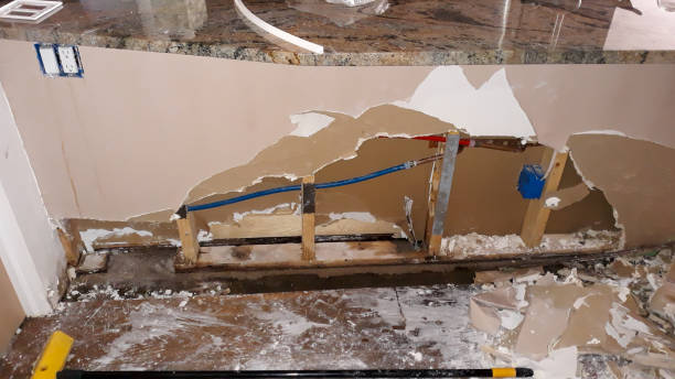 Best Carpet water damage restoration  in Rio Pinar, FL