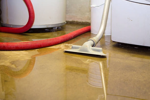 Best Fire Damage Restoration  in Rio Pinar, FL