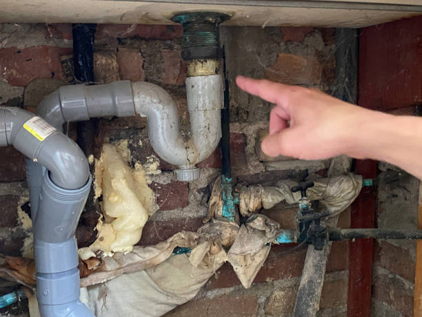 Best Carpet water damage restoration  in Rio Pinar, FL